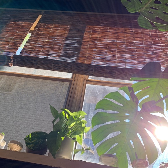 Meet your Posher, Anna - Picture 12 of 14